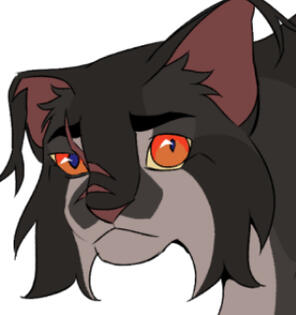 Shadowsight (Warriors)