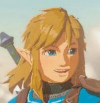 Link(BOTW/TOTK)