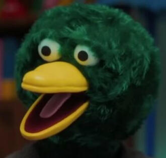 Duck(DHMIS)